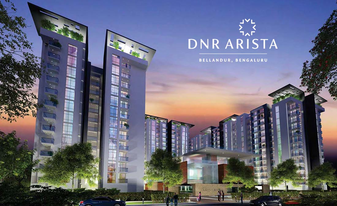 DNR Arista Desktop Banner